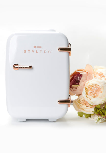 Four Litre Beauty Fridge